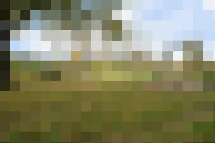 Kruiswortel 2 De Meern thumbnail 28