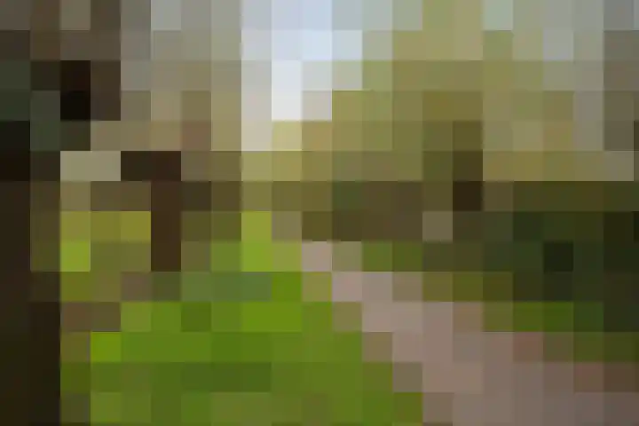 Kruiswortel 2 De Meern thumbnail 29