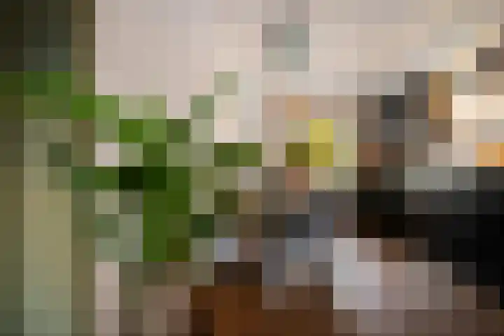 Kruiswortel 2 De Meern foto 3