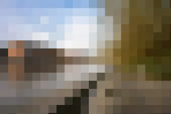 Kruiswortel 2 De Meern thumbnail 30