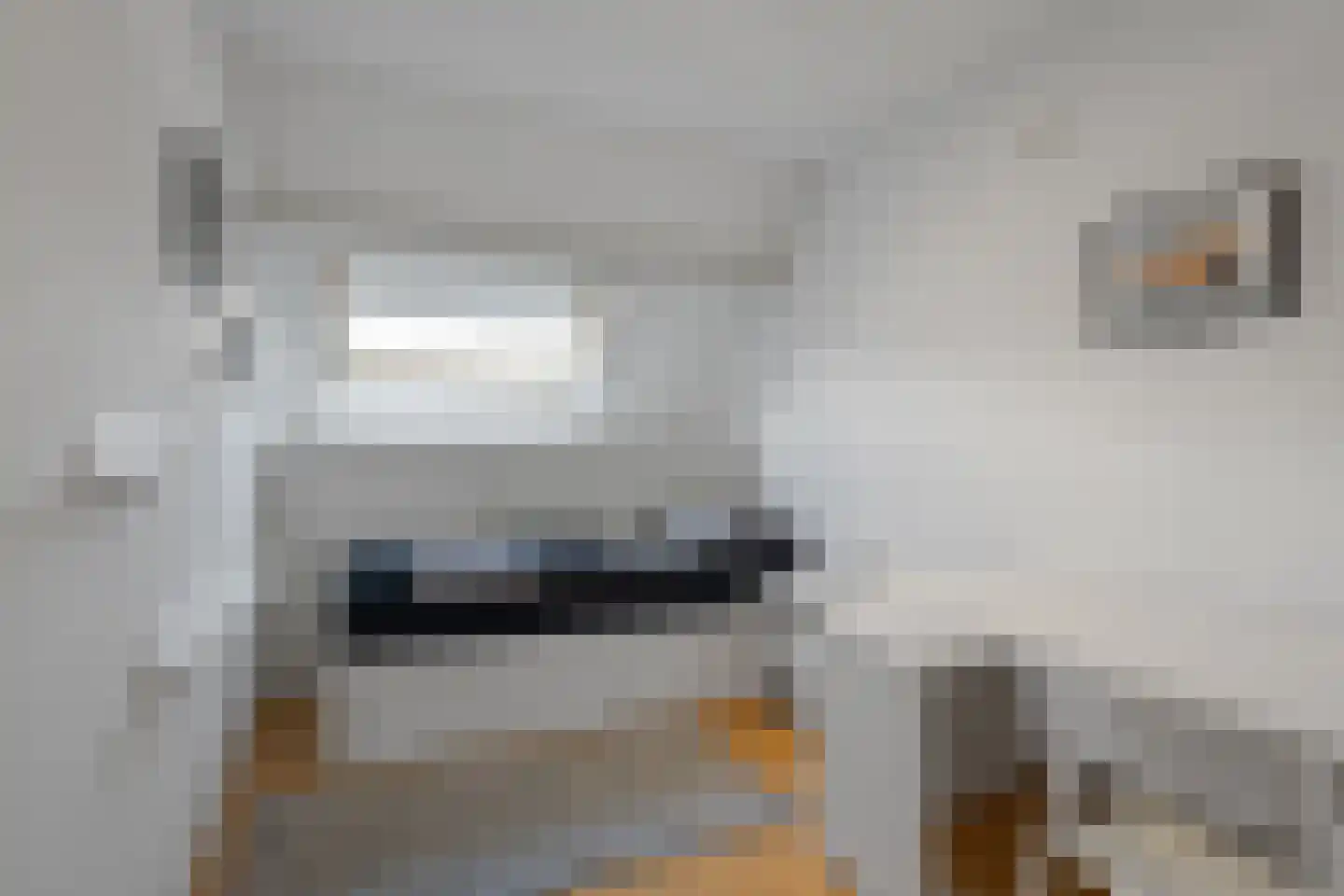 Kruiszwin 1108 Julianadorp thumbnail 18