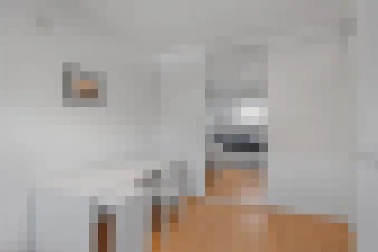 Kruiszwin 1108 Julianadorp thumbnail 19
