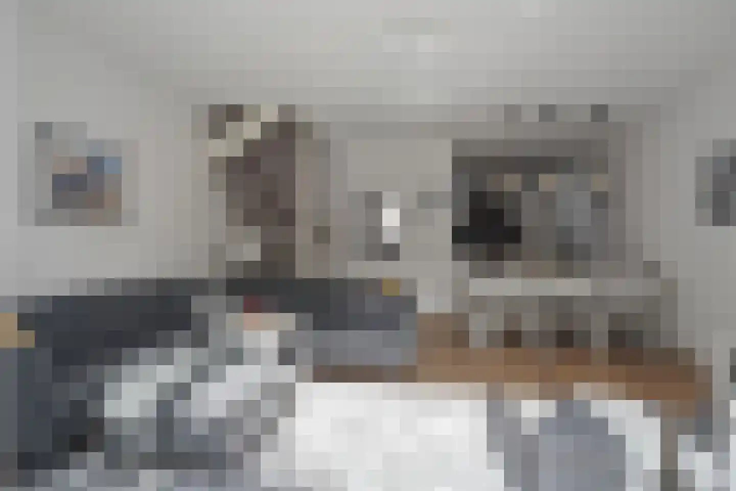 Kruiszwin 1108 Julianadorp thumbnail 7