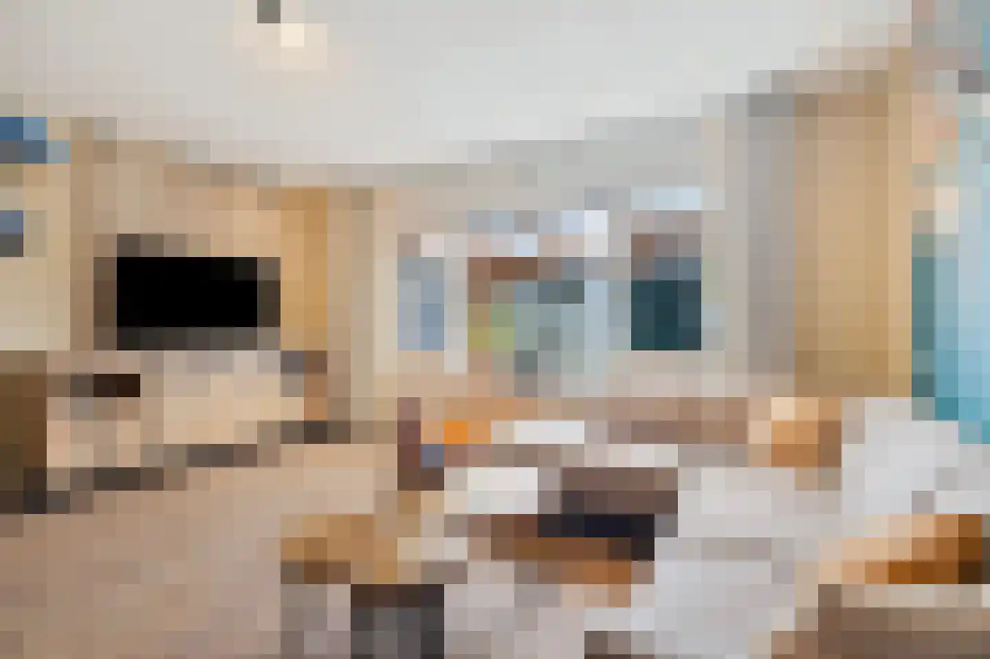 Kruiszwin 1111 Julianadorp thumbnail 4