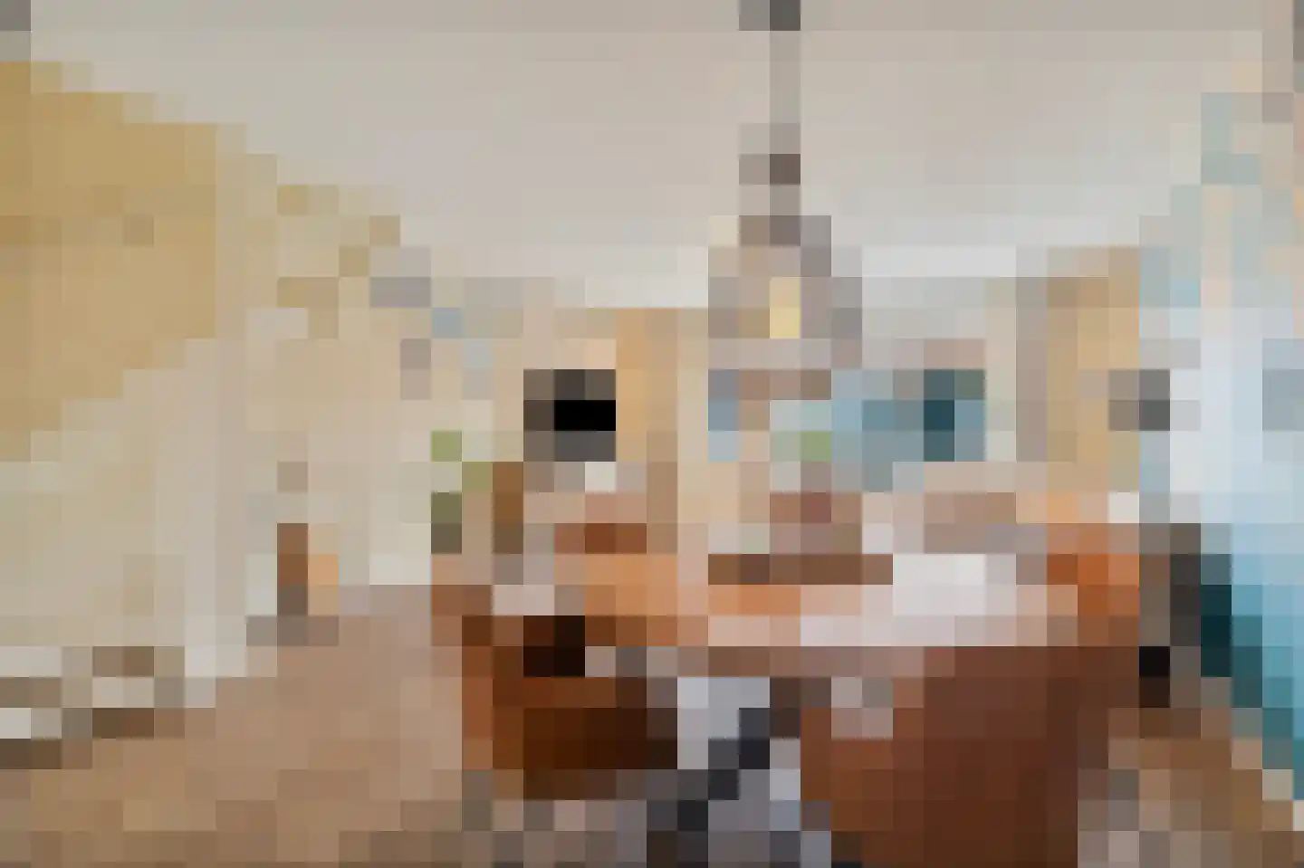 Kruiszwin 1111 Julianadorp thumbnail 6