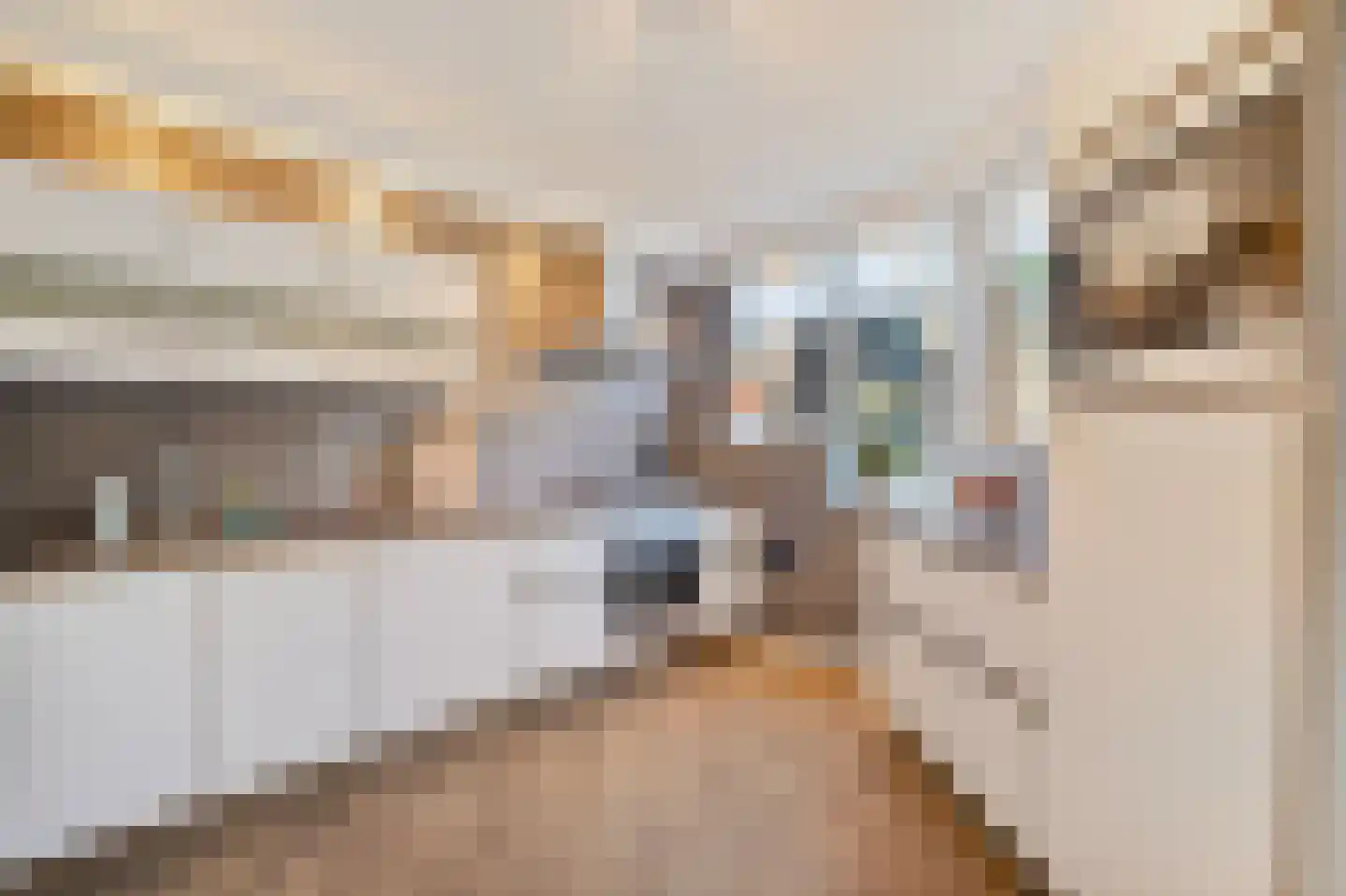 Kruiszwin 1111 Julianadorp thumbnail 8