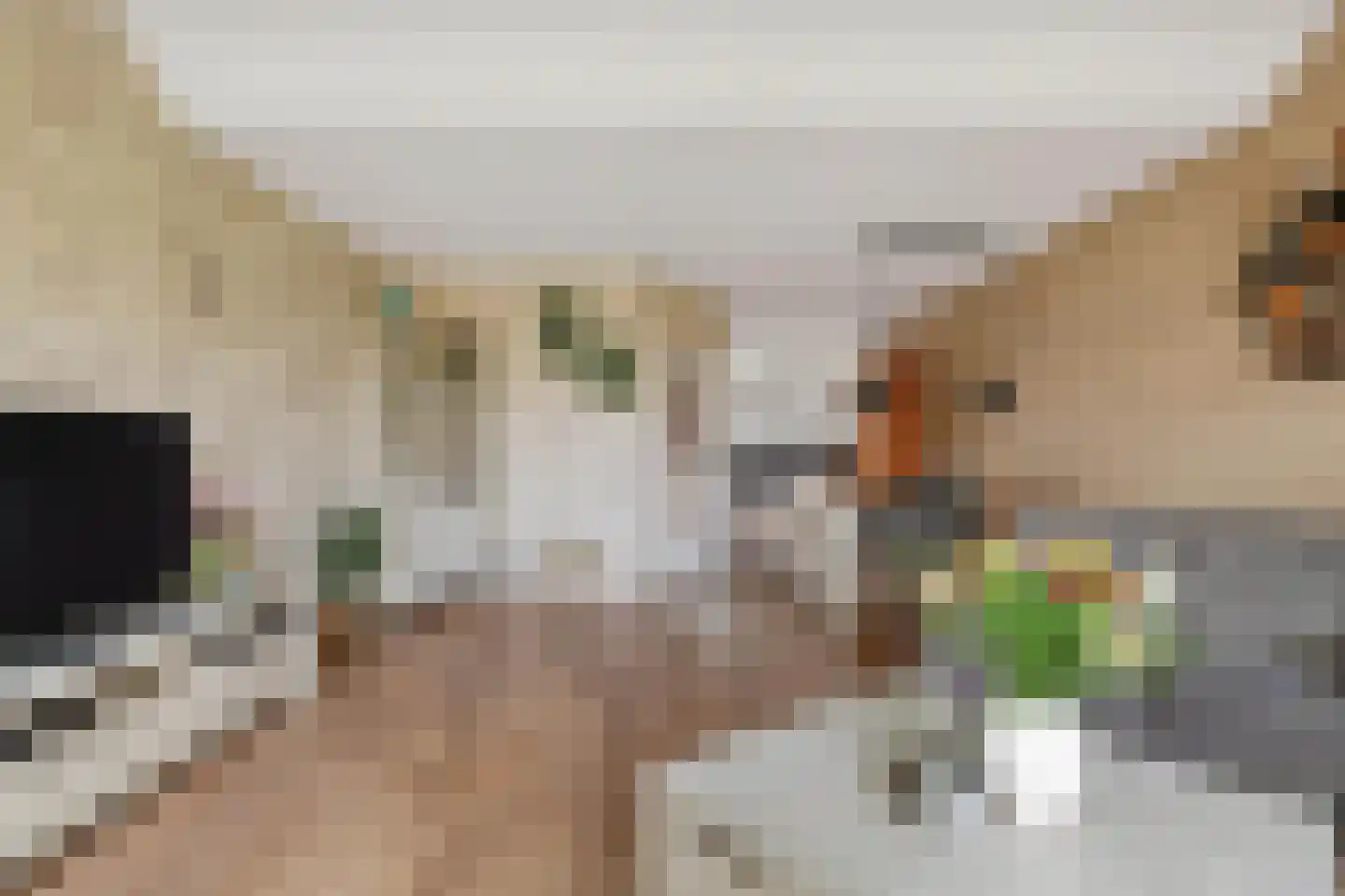 Kruiszwin 1124 Julianadorp thumbnail 10