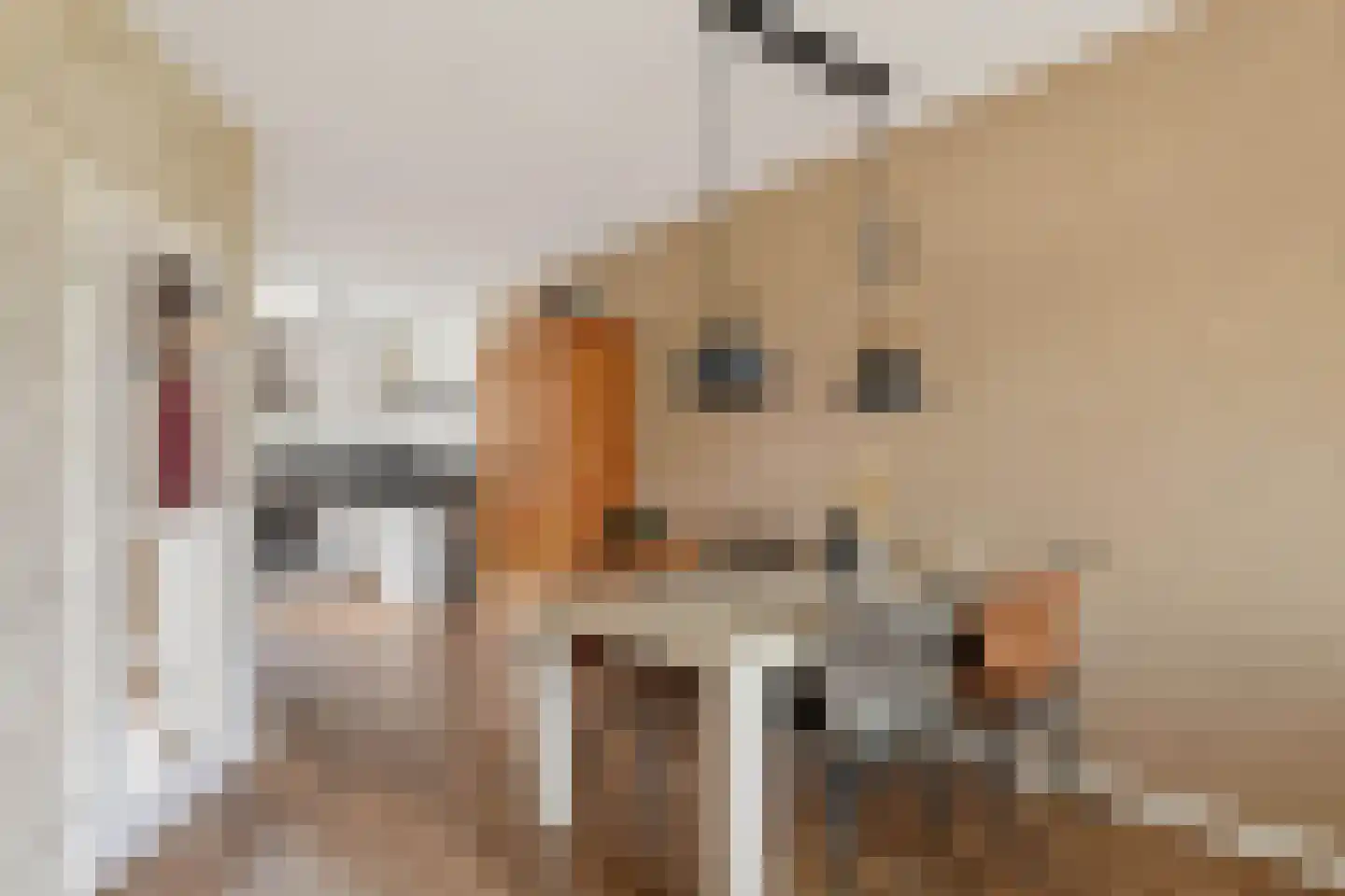 Kruiszwin 1124 Julianadorp thumbnail 12