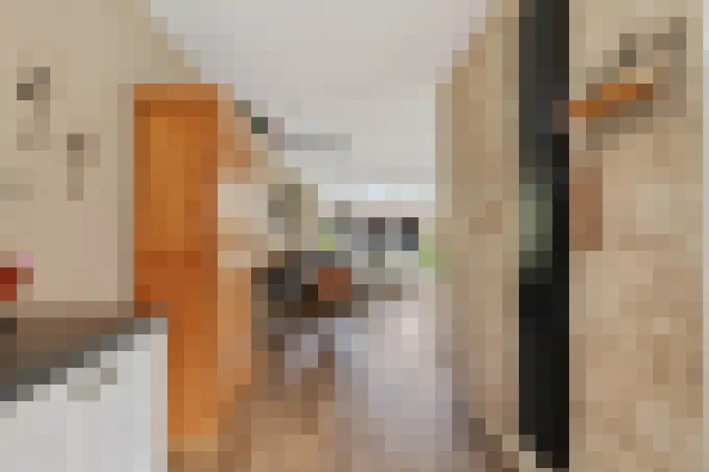 Kruiszwin 1124 Julianadorp thumbnail 13