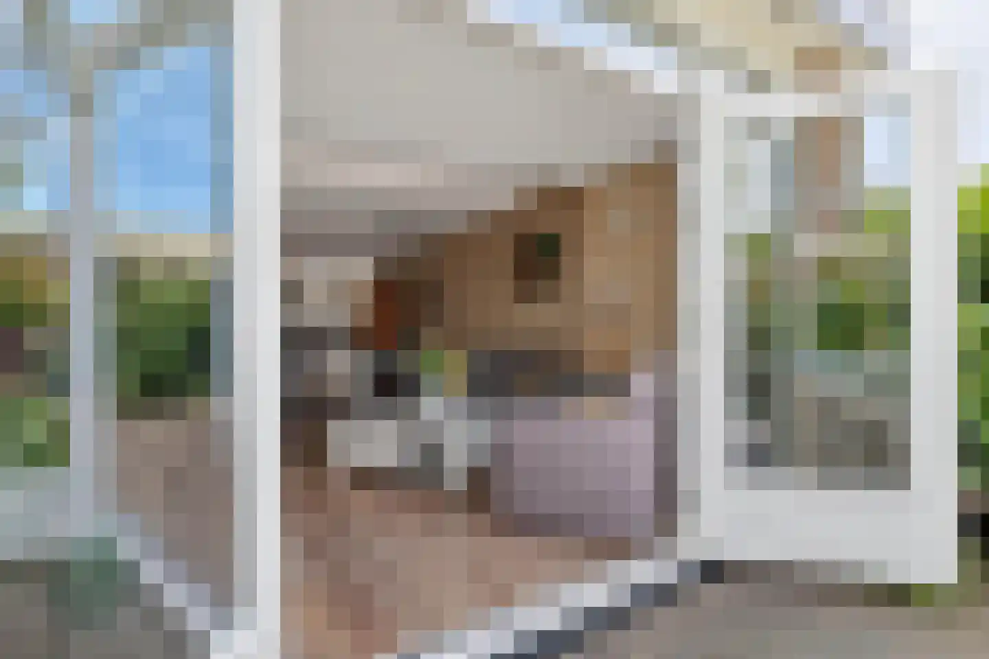 Kruiszwin 1124 Julianadorp thumbnail 17