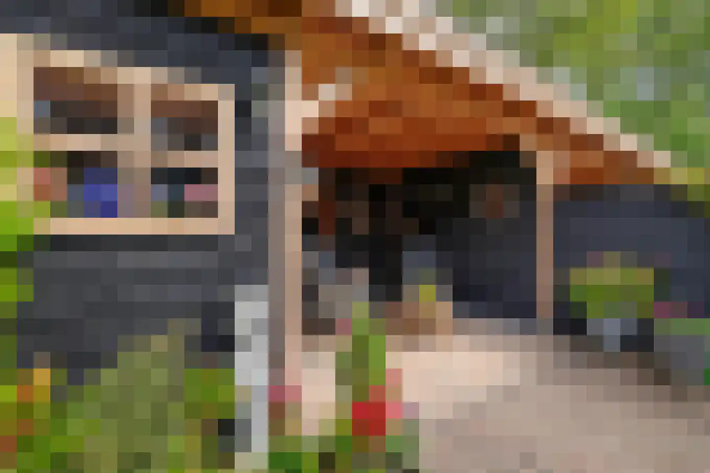 Kruiszwin 1124 Julianadorp thumbnail 21