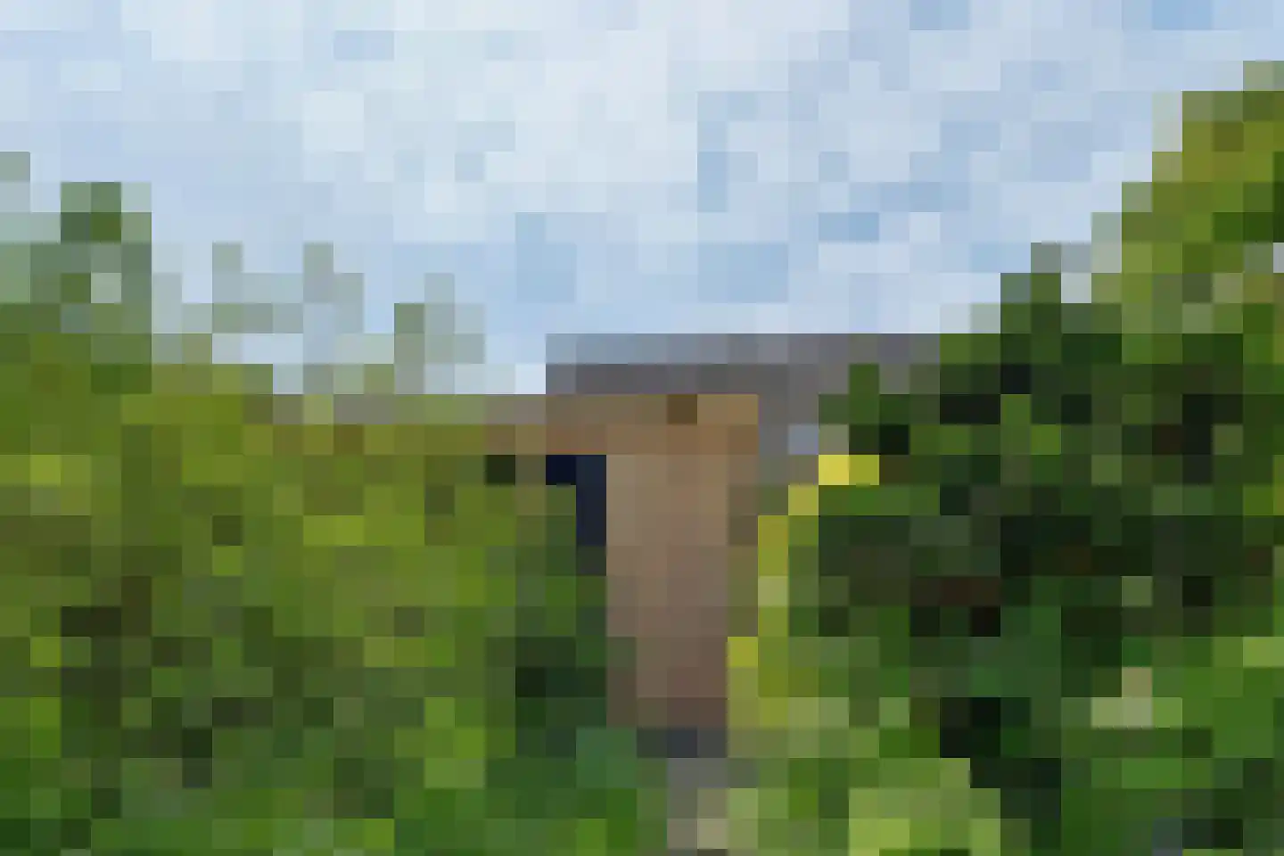 Kruiszwin 1124 Julianadorp thumbnail 22