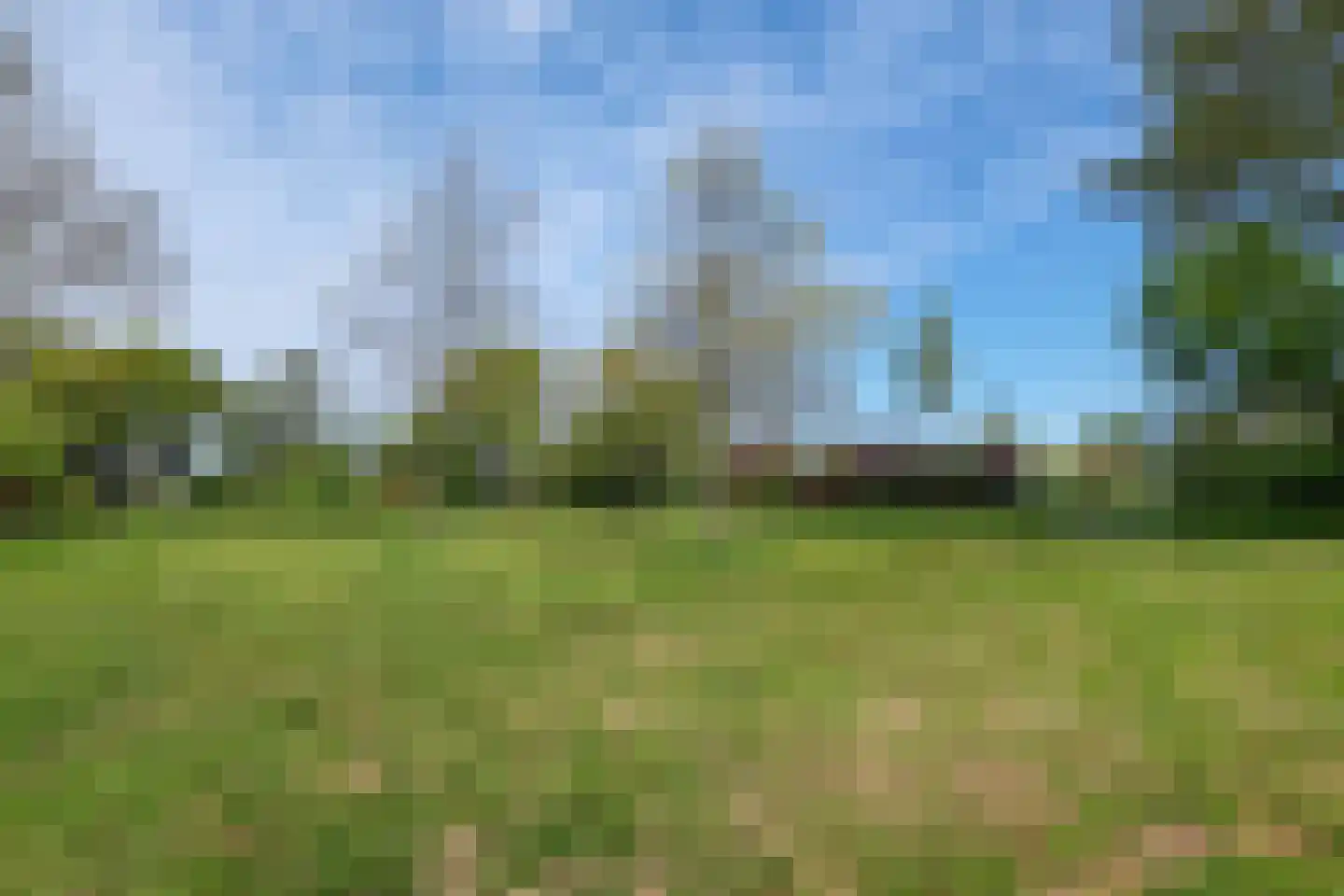 Kruiszwin 1124 Julianadorp thumbnail 23