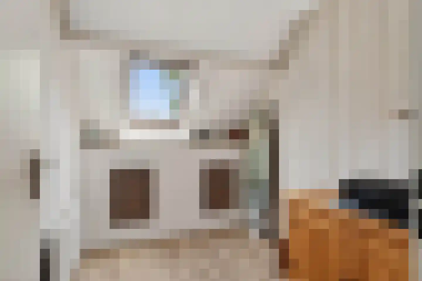 Kruiszwin 1124 Julianadorp thumbnail 27