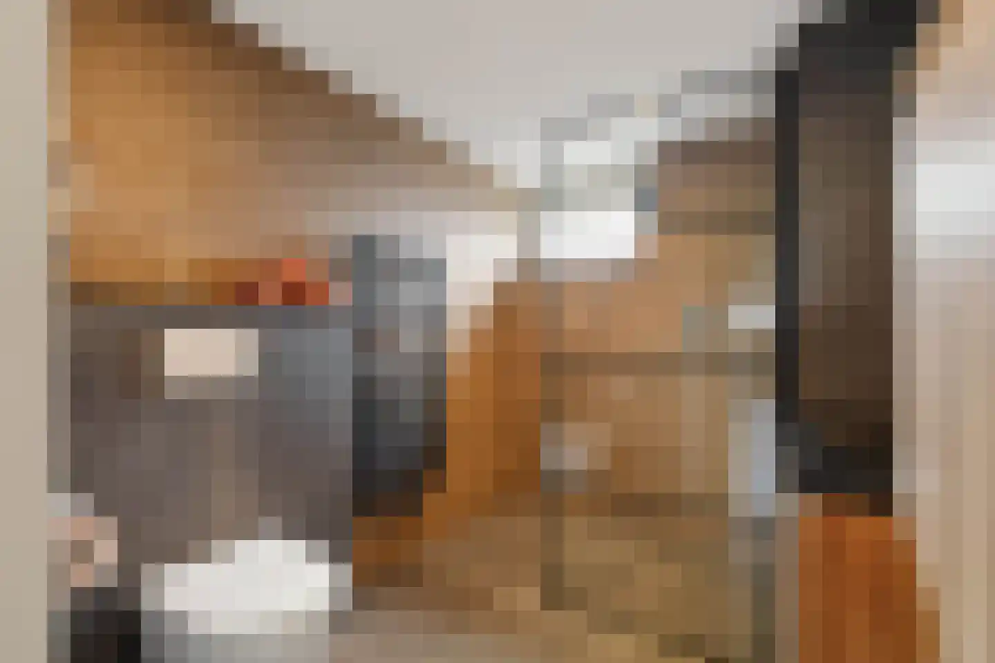 Kruiszwin 1124 Julianadorp thumbnail 29