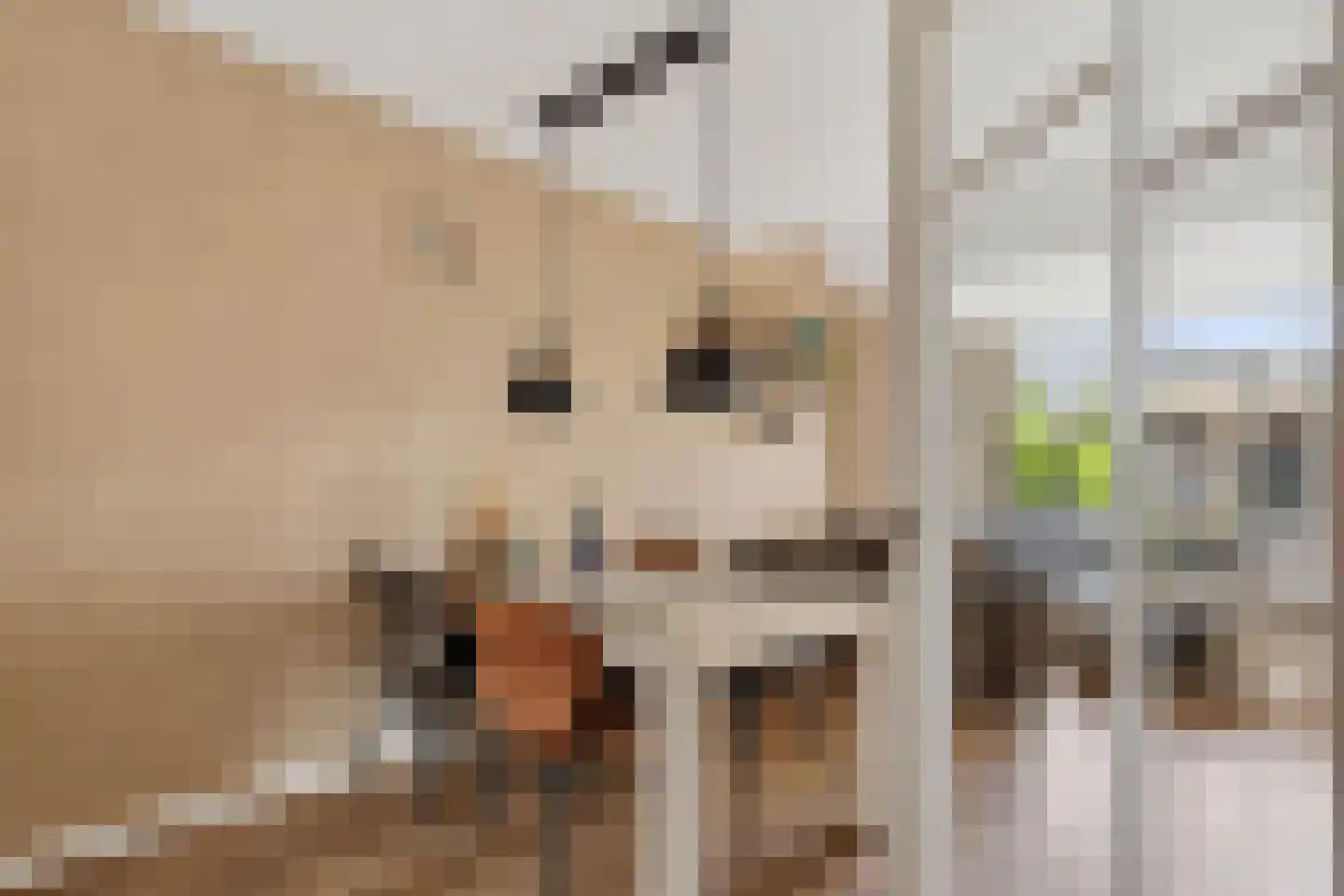 Kruiszwin 1124 Julianadorp thumbnail 8