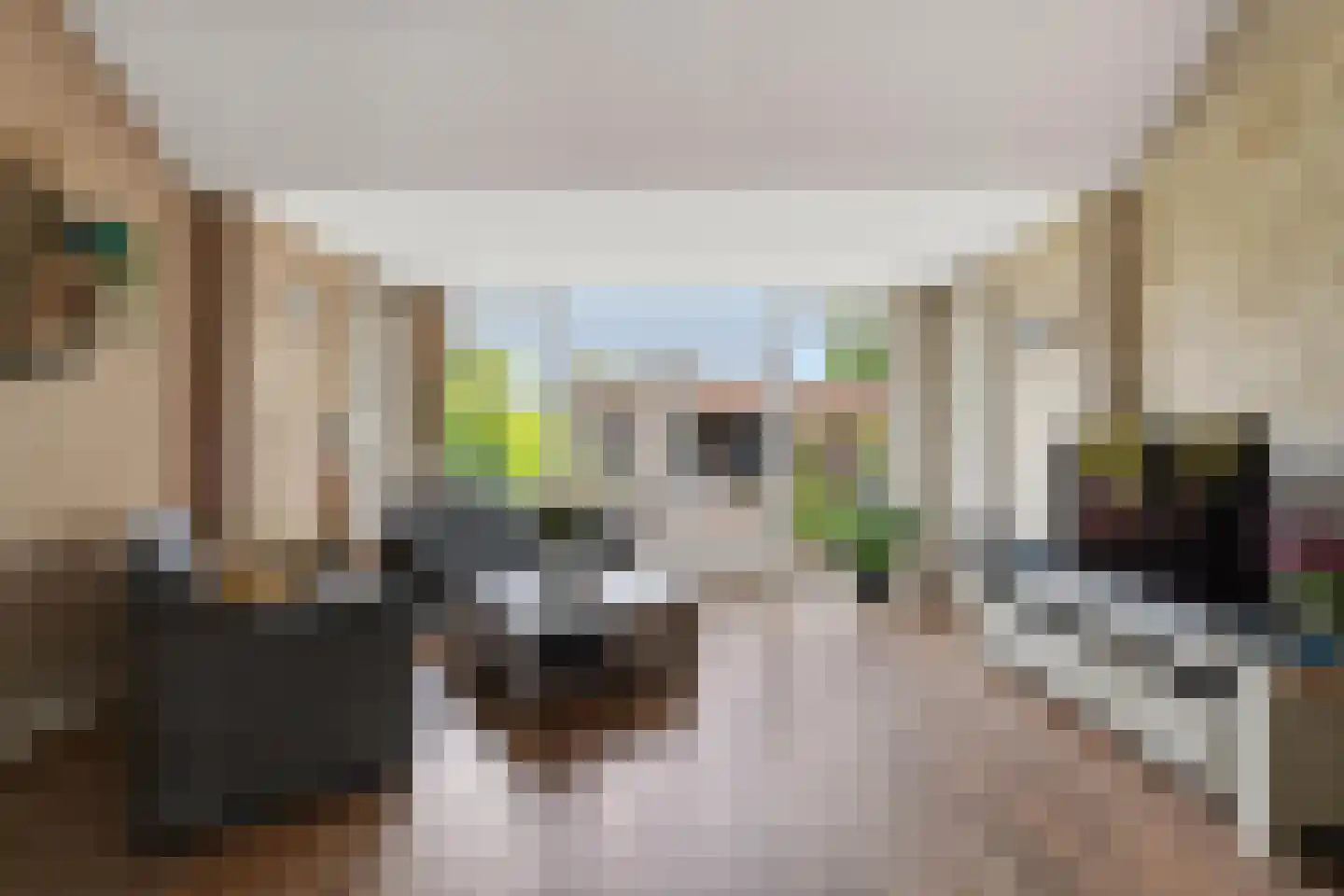 Kruiszwin 1124 Julianadorp thumbnail 9