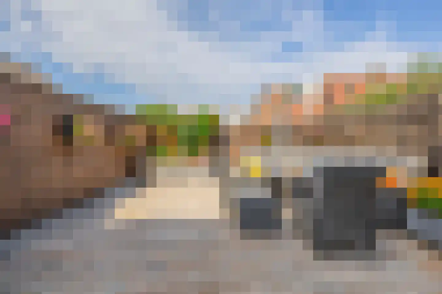 Kruiszwin 1150 Julianadorp thumbnail 14