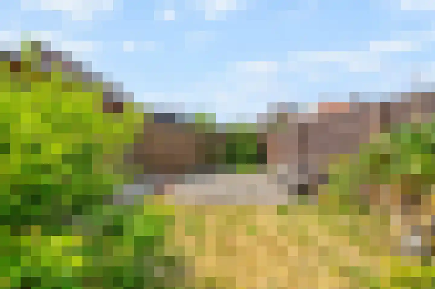 Kruiszwin 1151 Julianadorp thumbnail 18