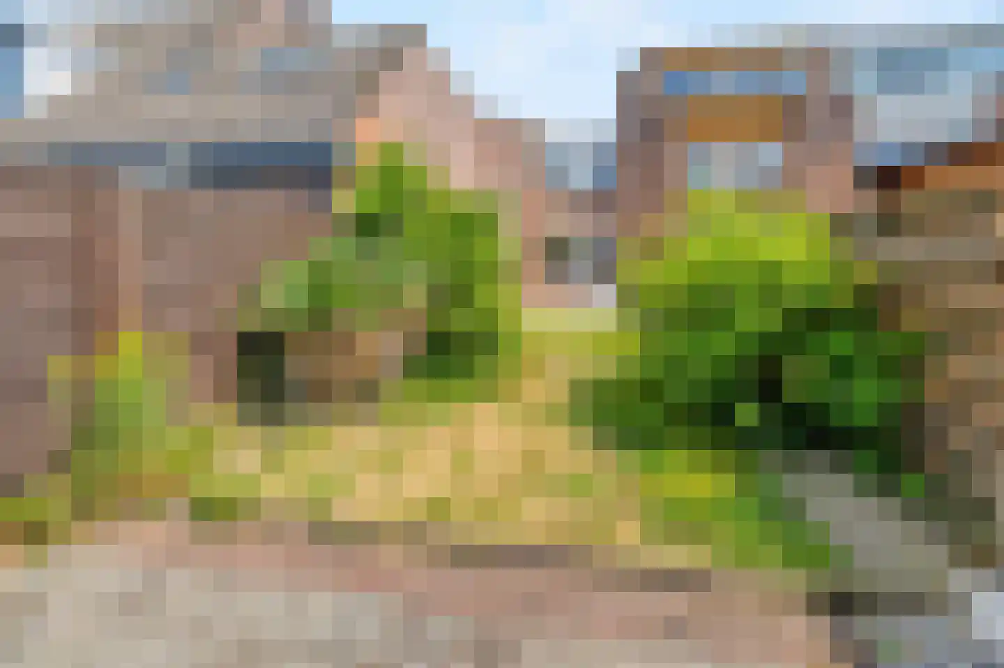 Kruiszwin 1151 Julianadorp thumbnail 19