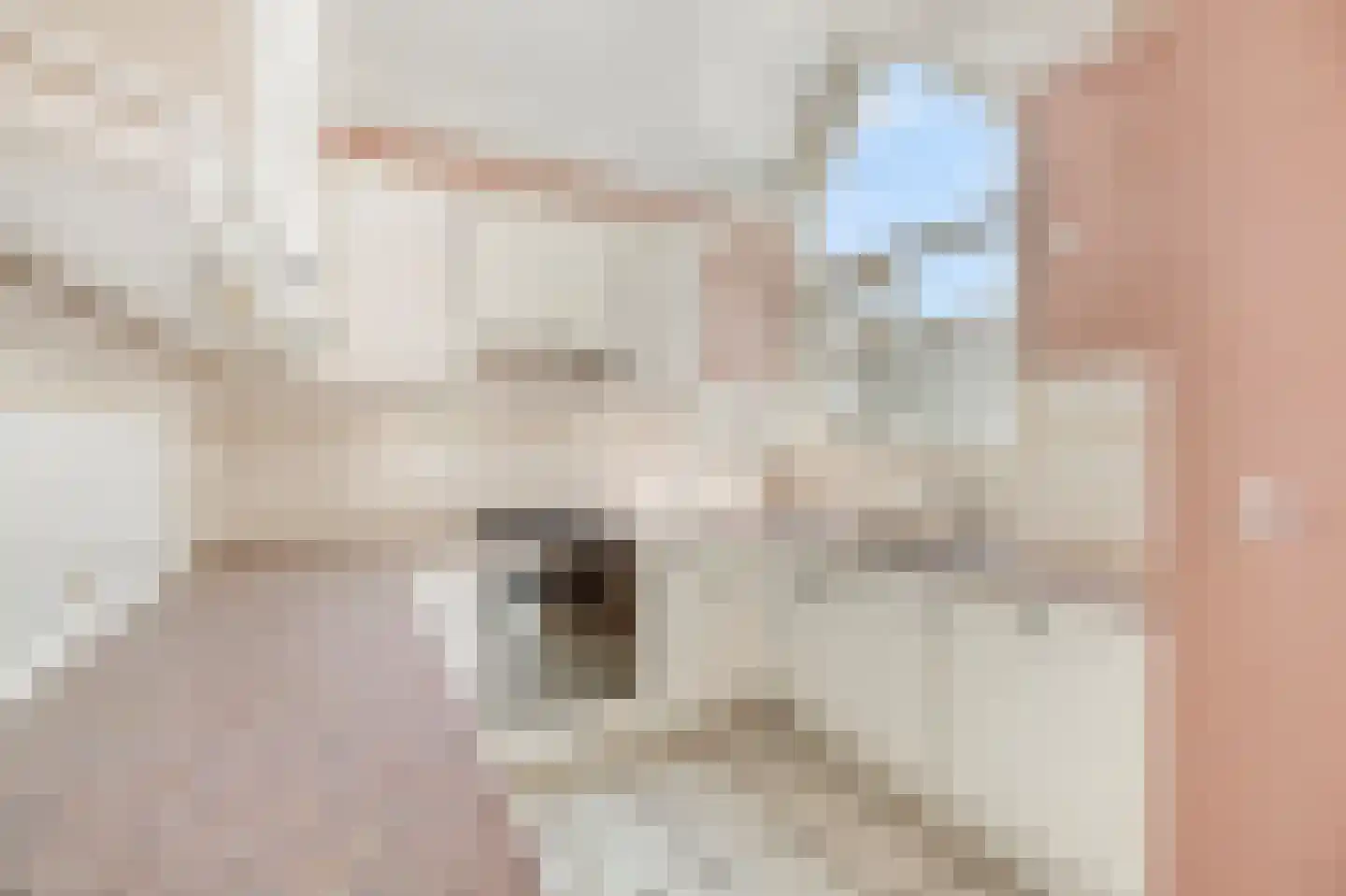 Kruiszwin 1151 Julianadorp thumbnail 7