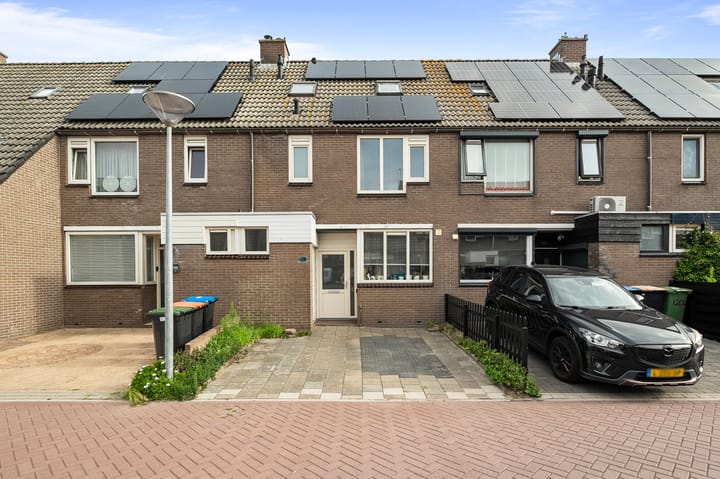 Kruiszwin 1205 in Julianadorp Foto