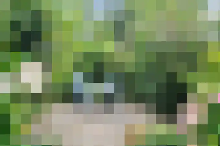Kruiszwin 1205 Julianadorp thumbnail 14