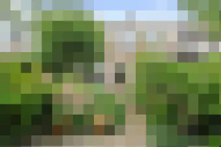 Kruiszwin 1205 Julianadorp thumbnail 15