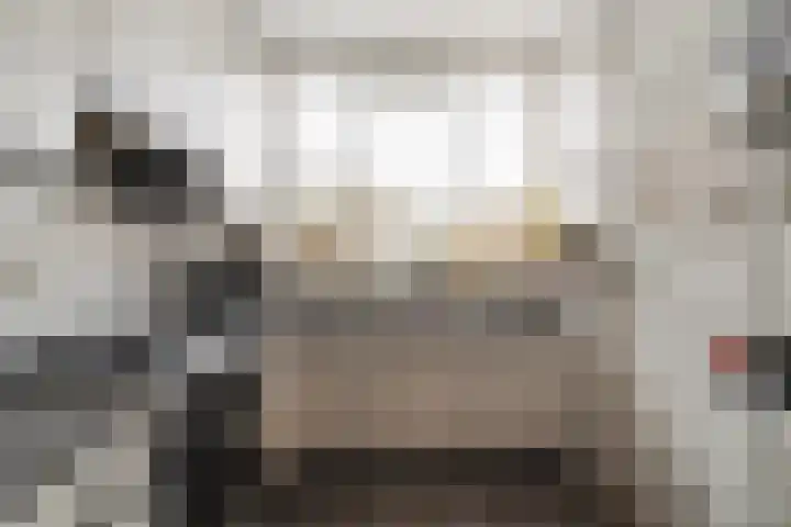Kruiszwin 1205 Julianadorp thumbnail 9