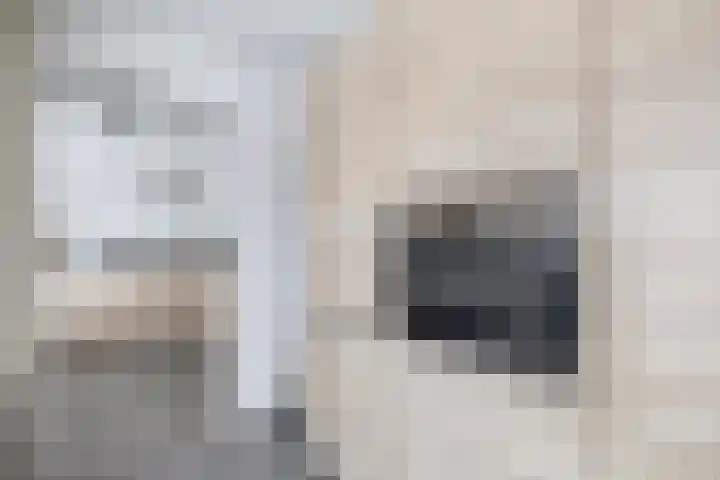 Kruiszwin 1302 Julianadorp thumbnail 12
