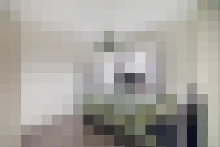 Kruiszwin 1302 Julianadorp thumbnail 19