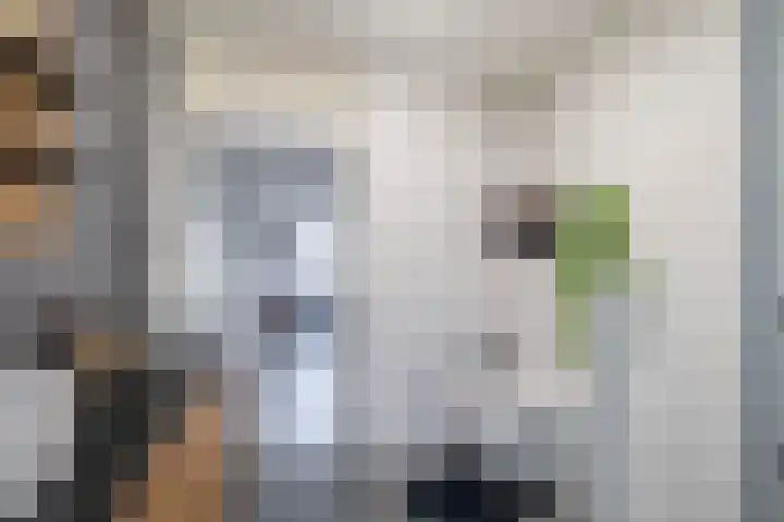 Kruiszwin 1302 Julianadorp thumbnail 23