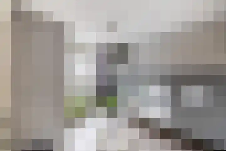 Kruiszwin 1302 Julianadorp thumbnail 24