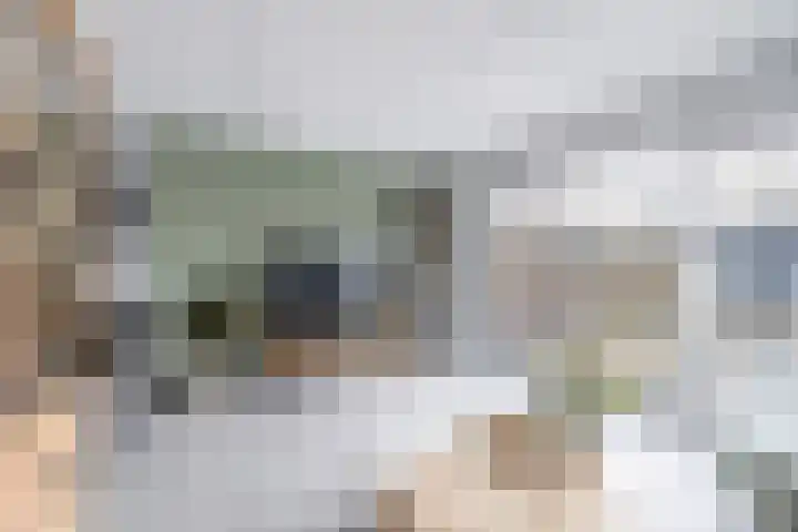 Kruiszwin 1302 Julianadorp thumbnail 6