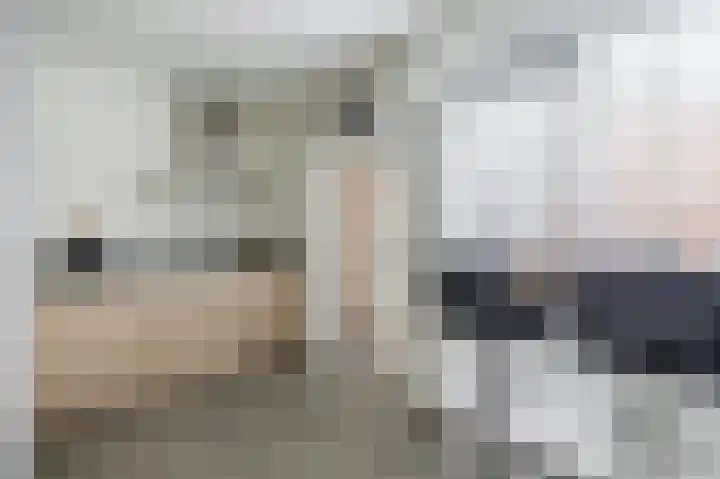 Kruiszwin 1302 Julianadorp thumbnail 9