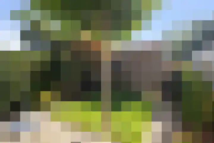 Kruiszwin 1307 Julianadorp thumbnail 15