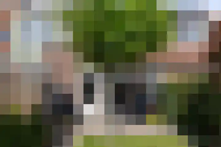 Kruiszwin 1307 Julianadorp thumbnail 16