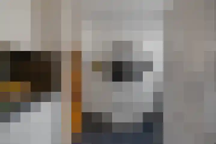 Kruiszwin 1307 Julianadorp thumbnail 7