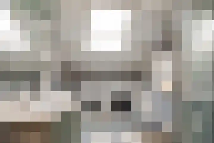 Kruiszwin 2102 Julianadorp thumbnail 19