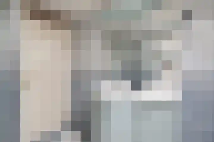 Kruiszwin 2102 Julianadorp thumbnail 21