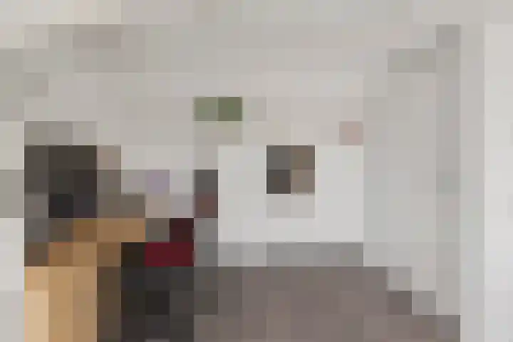 Kruiszwin 2102 Julianadorp thumbnail 24