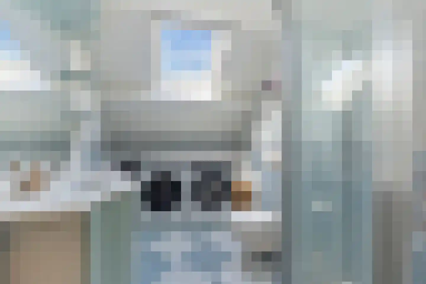 Kruiszwin 2102 Julianadorp thumbnail 25