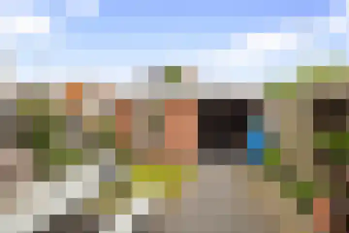 Kruiszwin 2102 Julianadorp thumbnail 27