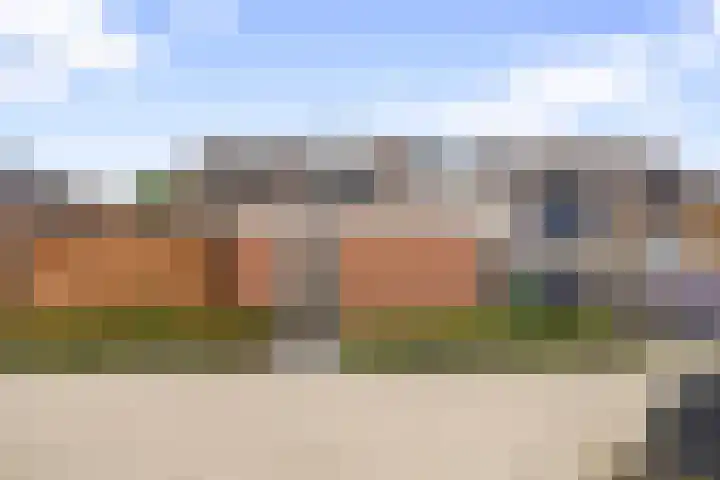 Kruiszwin 2102 Julianadorp thumbnail 29