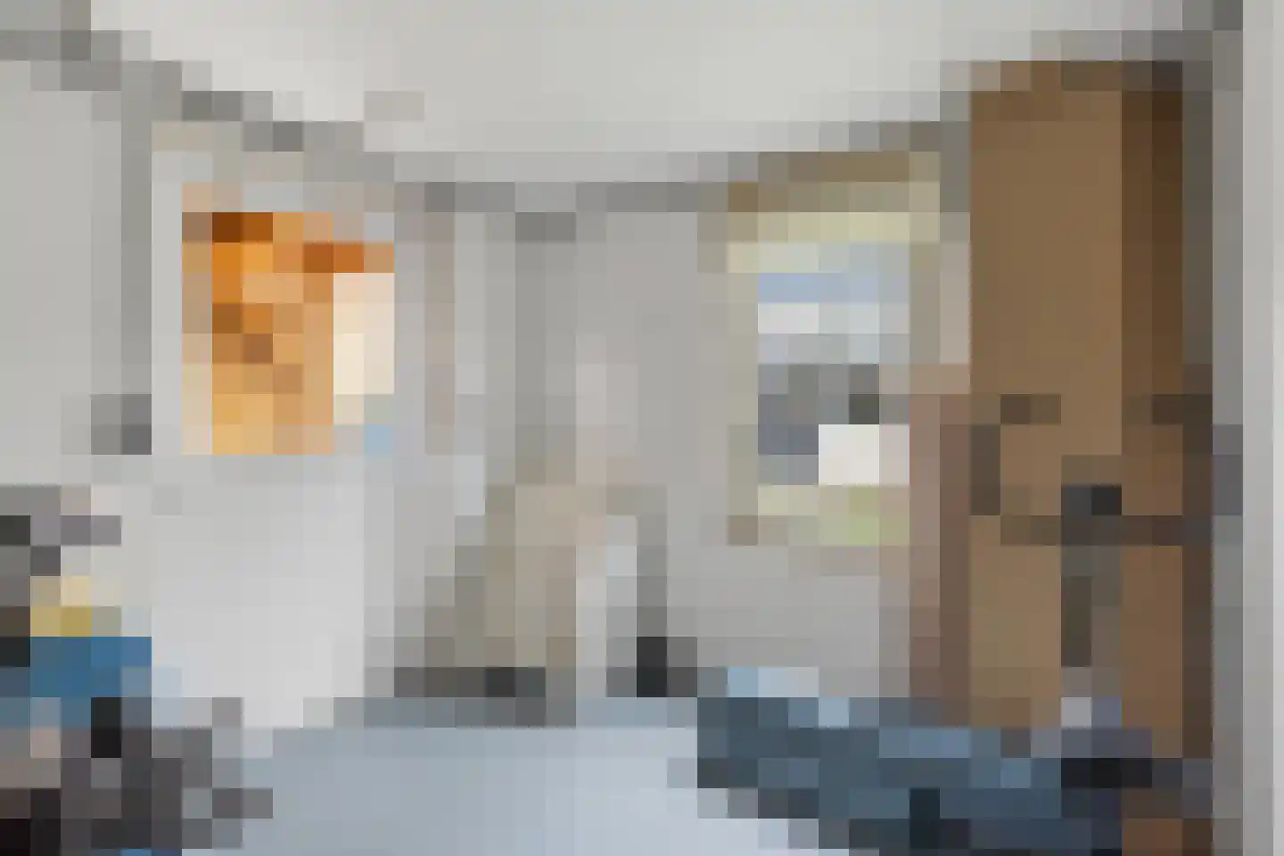 Kruiszwin 2102 Julianadorp thumbnail 37