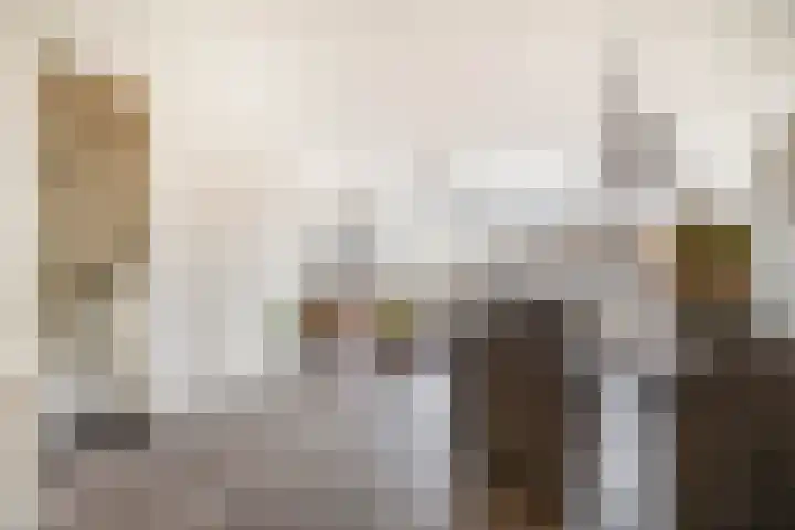 Kruiszwin 2111 Julianadorp thumbnail 10