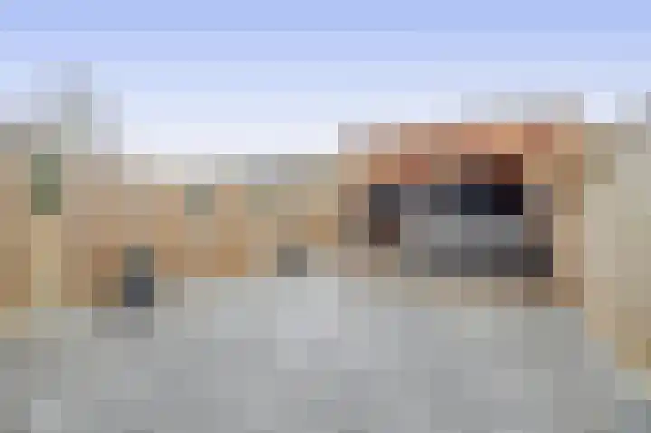 Kruiszwin 2111 Julianadorp thumbnail 15
