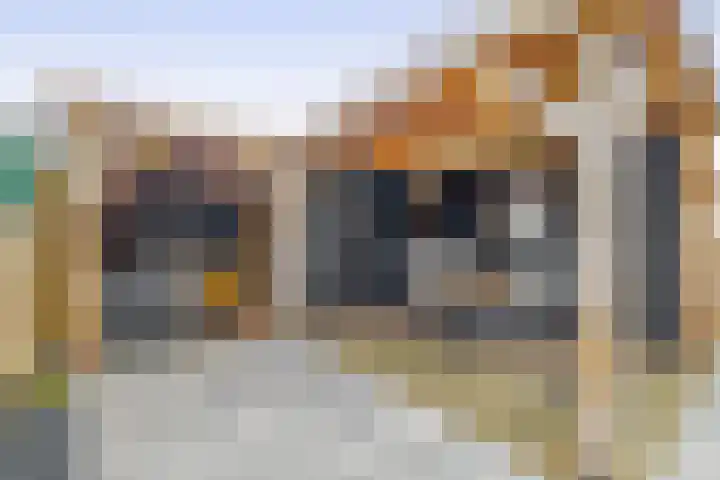 Kruiszwin 2111 Julianadorp thumbnail 16