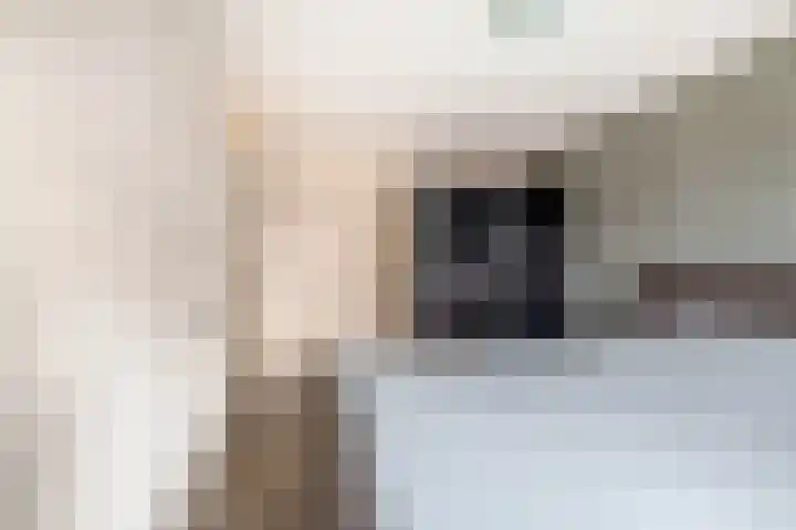 Kruiszwin 2111 Julianadorp thumbnail 21