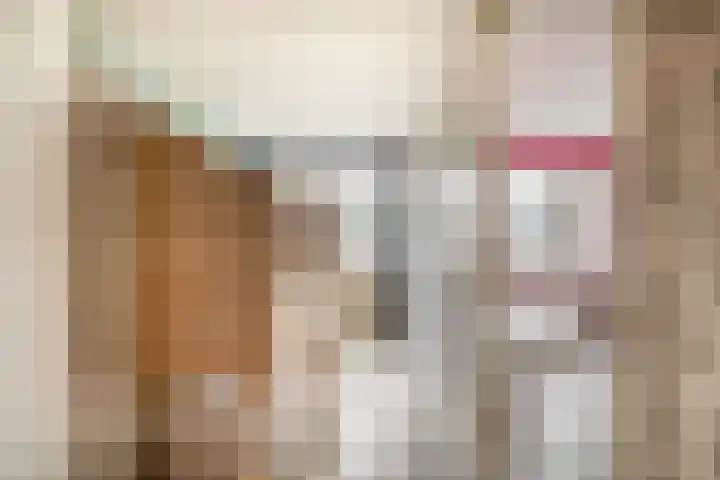 Kruiszwin 2111 Julianadorp thumbnail 28